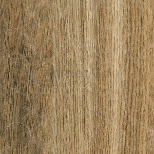 5bf3bc7009bab8f2b52486d75a625bf8