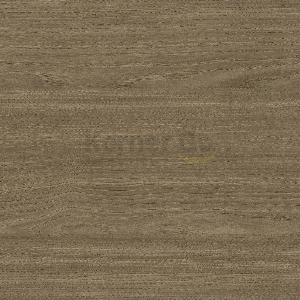 5c354c438b81a85d83571fcb4c20d956