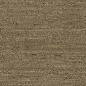 OBR/POLK ABS N02/160 (R20426) DĄB PERŁOWY 42/2