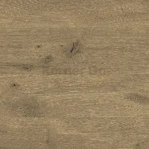 OBR/POLK ABS N02/141 (R20413) VIKING OAK LIGHT 22/08